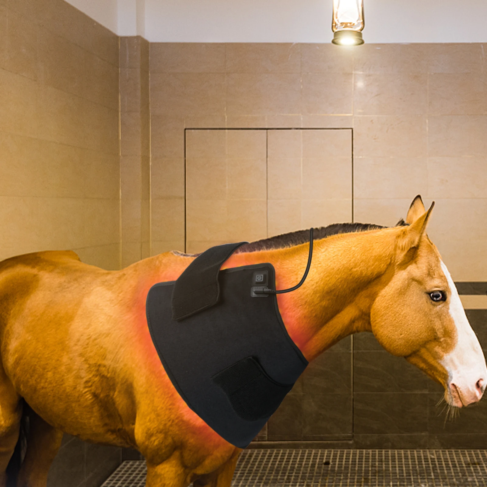 Home use 0 EMF Led Light Therapy full body 660nm 850nm led light therapy wrap for horses back
