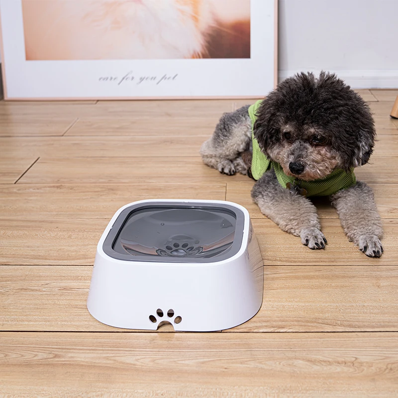 Ant-spill Dog Water Bowl Colorful Eco-friendly PP Non-slip Pet Bowl