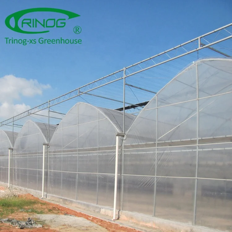 Trinog greenhouse Agricultural Commercial NFT lettuce cultivation Hydroponics System for Film Green House