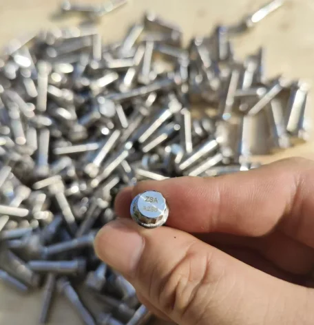 Experienced Supplier of 12 Point Screw