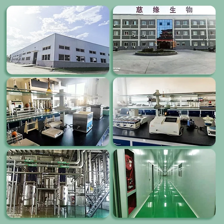 Ciyuan Bio 100% Nature Mimosa Root Extract Powder with Free Sample