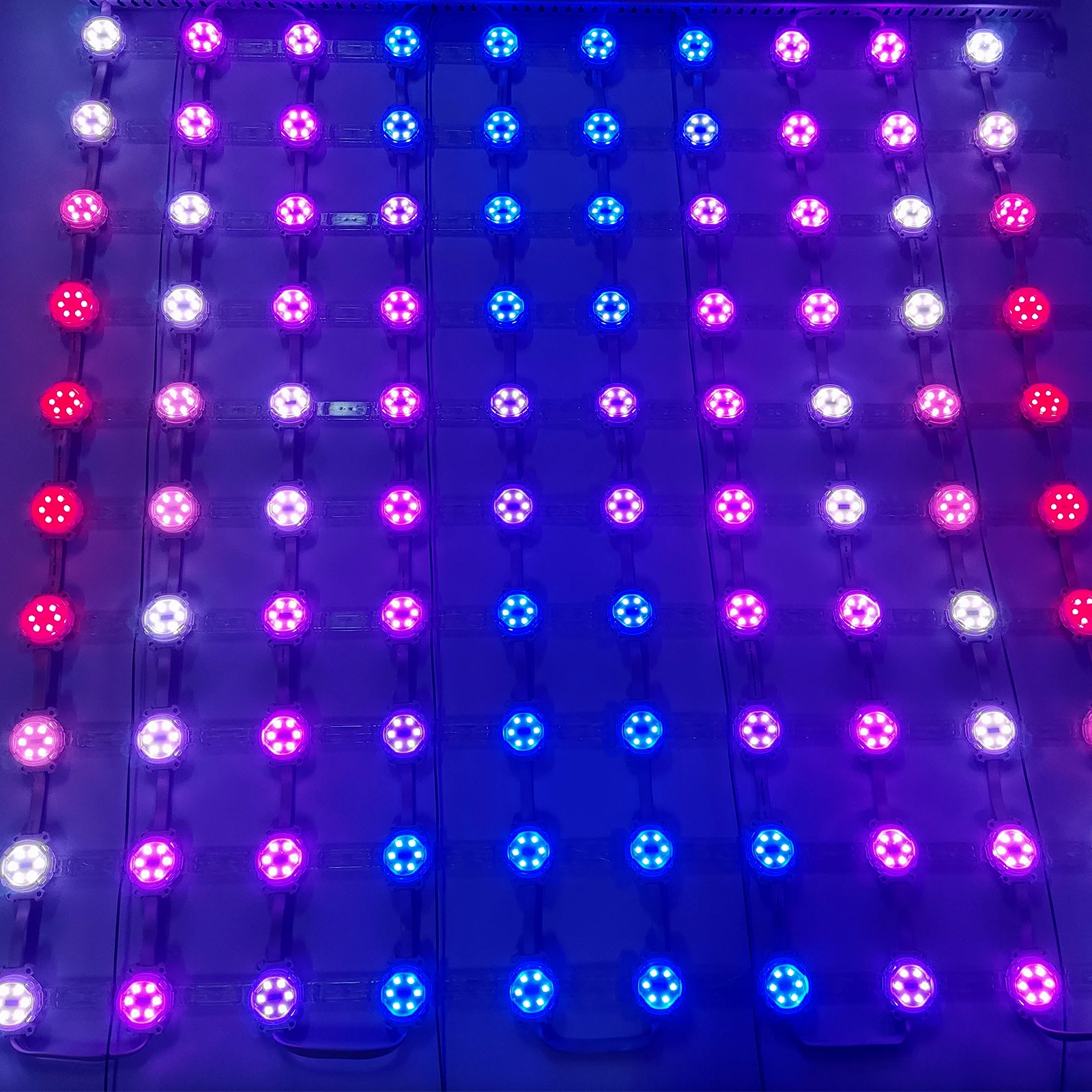 Outdoor LED Screens by XQD - P31.25 Large Flexible RGB WS2811 SPI 50x100 Mesh Custom Size Pixel Screens Exceptional Quality