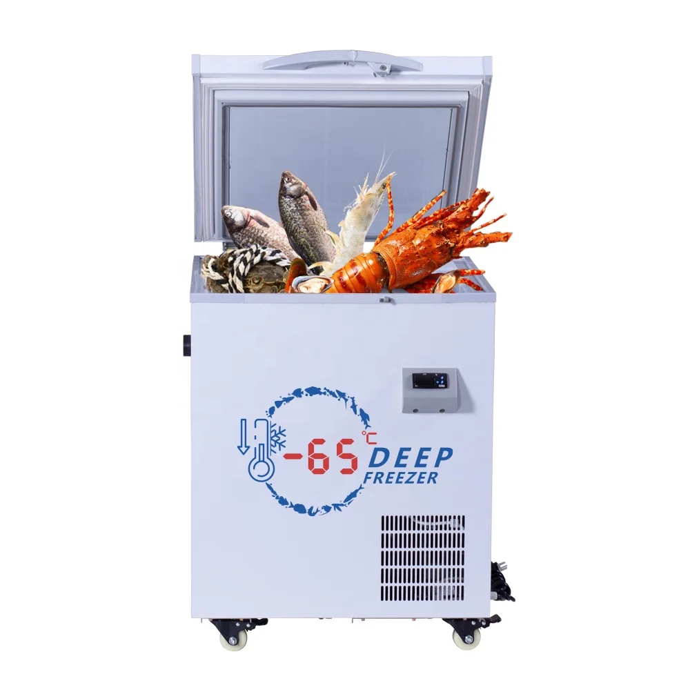 70L Mini Chest/Deep freezer/Congelateurs/ Single Door Small Chest Freezer