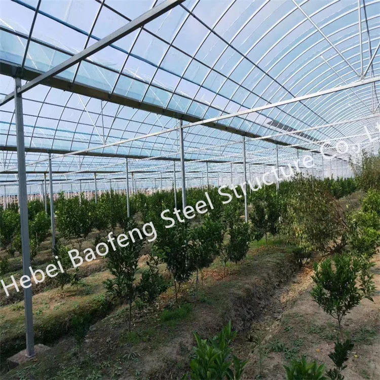 Portable Modular polycarbonate Winter Garden Gazebo Prefab Greenhouse Insulated Walk In Cheap