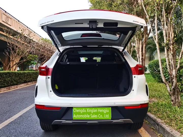 Chinese  New Energy Advanced Configutationg Used Cars WELTMEISTER EV EX5 2020 Electric Car