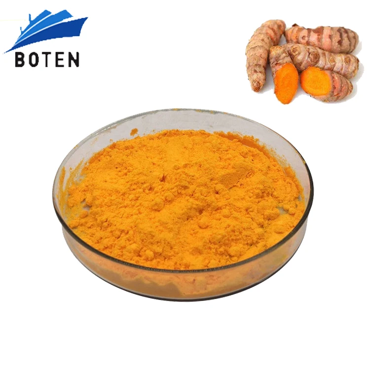 Hot Sale Curcumin turmeric Extract Curcumin Powder 10%~95% Anti-inflammatory   HPLC Method