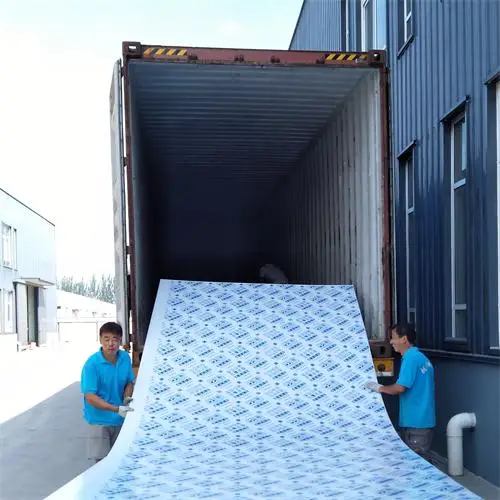 High quality polycarbonate transparent roof