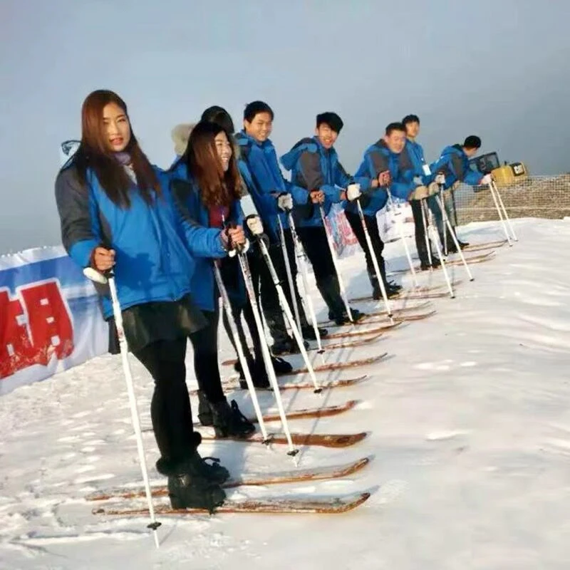 JETSHARK модные высококачественные бревна пепельный лыж двойная доска взрослые и дети деревянные соединения сноуборд