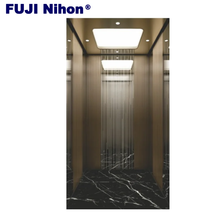 Fuji japan elevator China Manufacturer House Concrete Lift Home Elevator