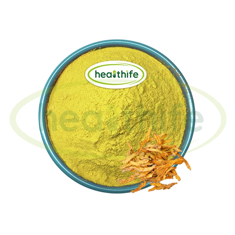 FocusHerb Coptis Chinensis экстракт берберина гидрохлорида 97% HCL порошок