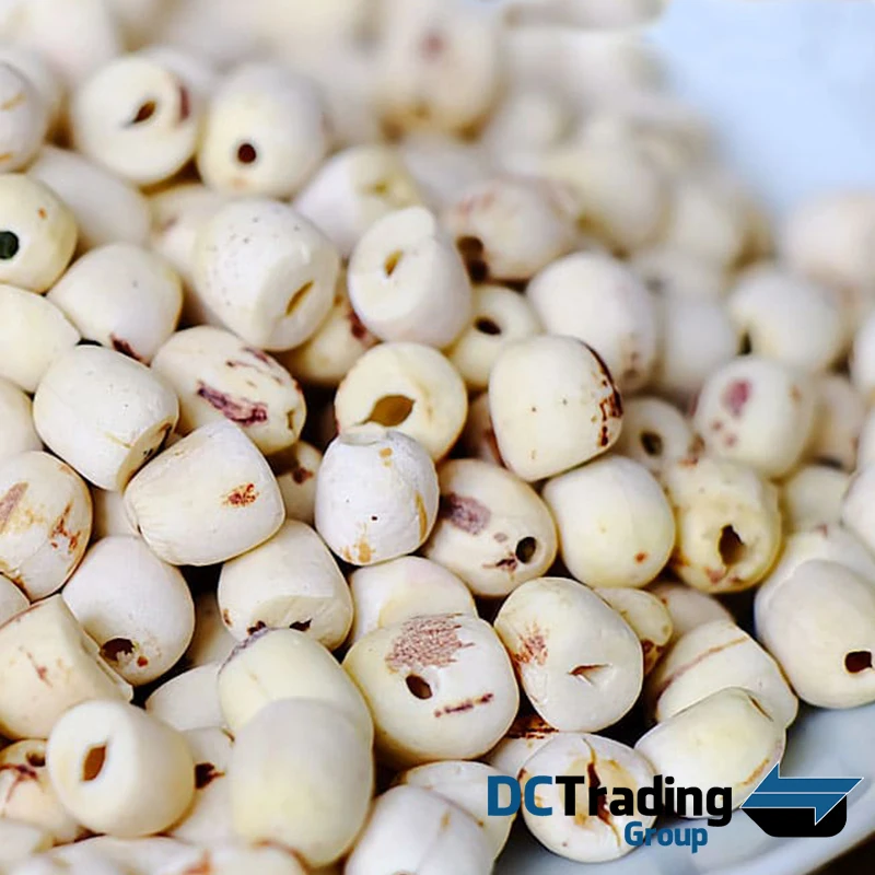 
High Quality White Natural Dried Lotus Seeds - Best Price For 100% Natural Lotus Seed - Dried Lotus Seeds From Vietnam 