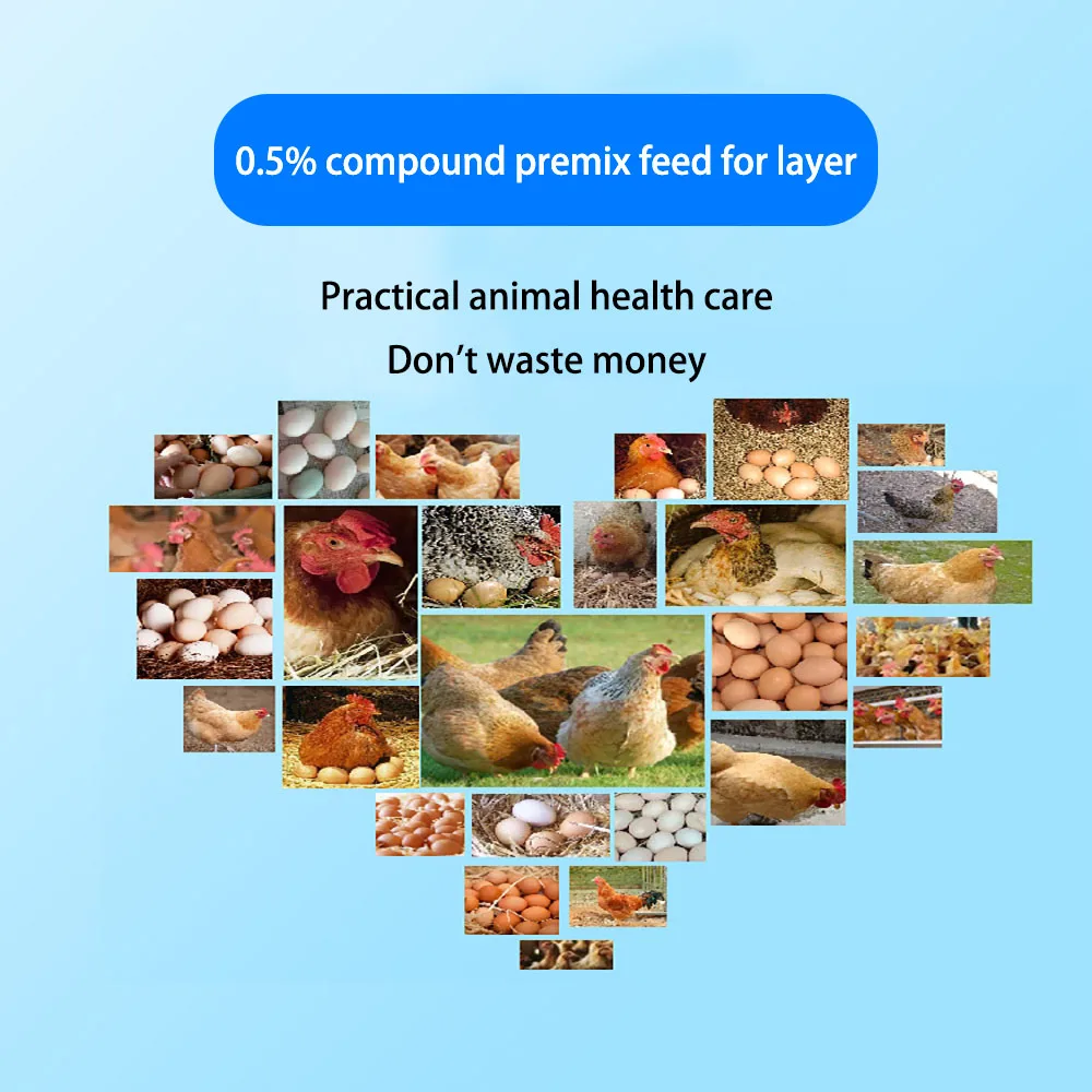 0.5%layer feed chicken poultry chicken layer feed poultry feed additives for layers