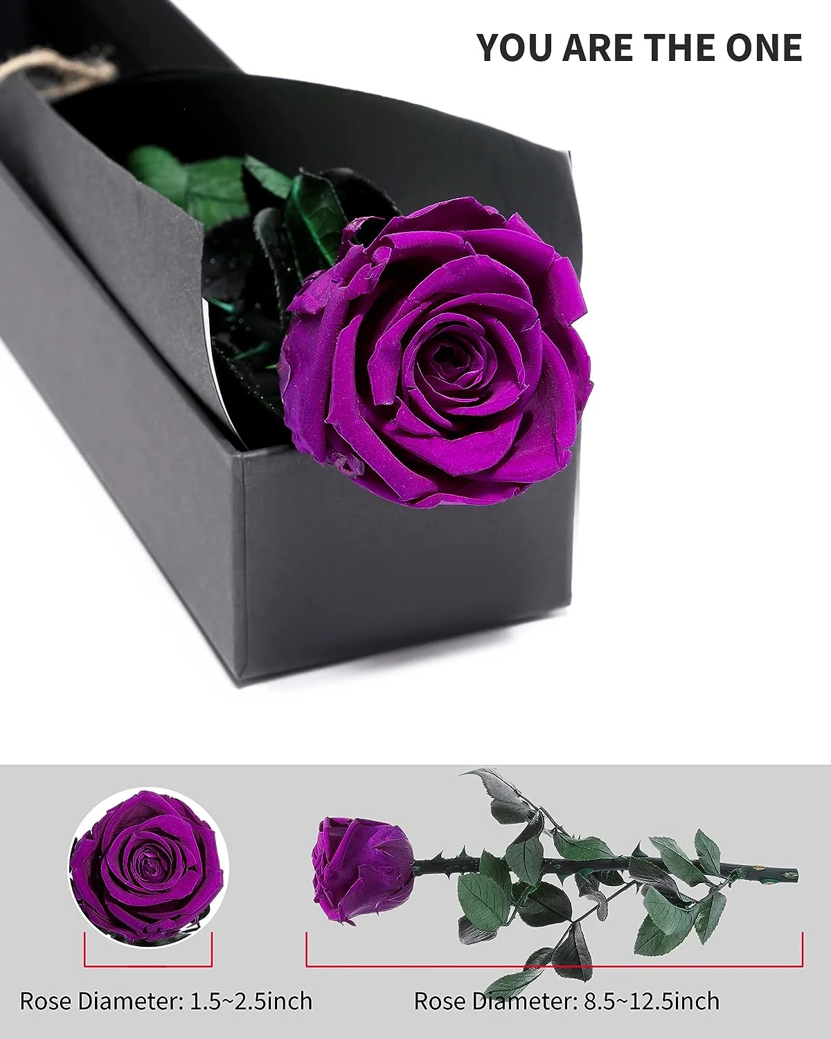 Natural touch preserved roses and preserved stems preserved colombian roses with stick