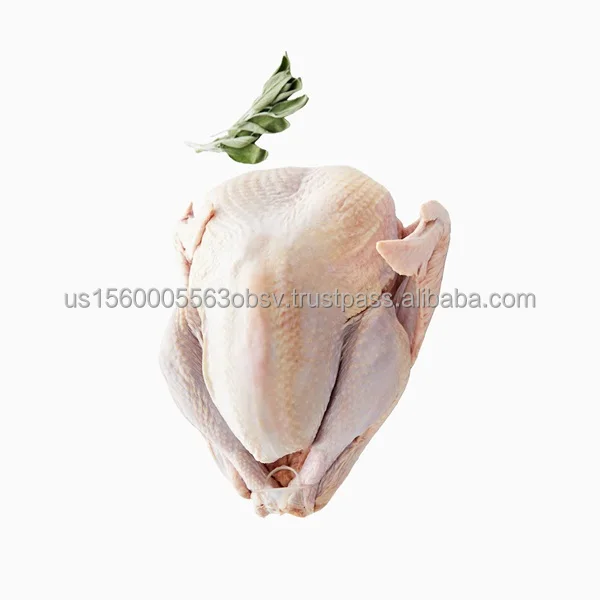 Frozen Whole Turkeys sale Frozen Whole Turkeys offers