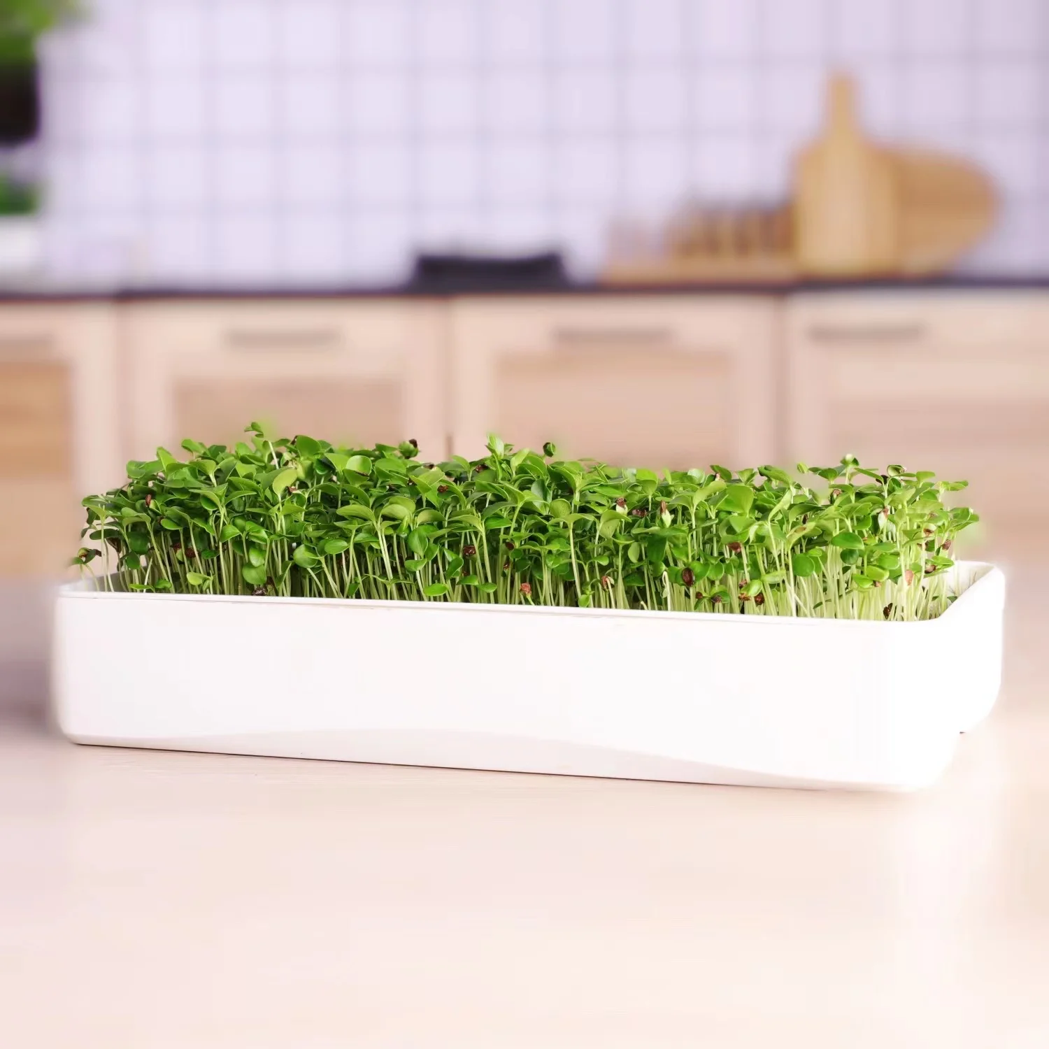 J&C Indoor Microgreens Harvester Grow Tray Installation Items for Home Mini Hydroponic Indoor