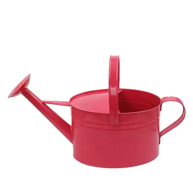 Wholesale oval shape galvanized watering can garden watering pot