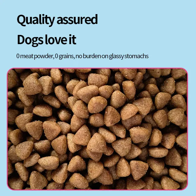 Wholesale Bulk Full Nutrition Dry Dog Food Live Pet Treats Manufacturing with Available Milk Puppy and Fish Bag Packaging