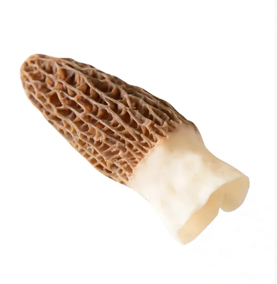 Morel Mushrooms 4cm 6cm 8cm Wholesale Bulk Dried Morel Mushrooms Complete Specifications Soup Ingredients Mushrooms