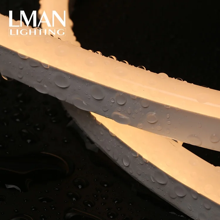 High quality SMD 2835 120eds/m AC110V 127V 260V 8W IP65 waterproof led light neon flex