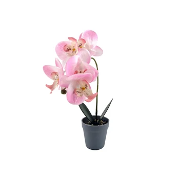 Chinese manufacturersArtificial Latex with Pot Wholesale Butterfly Phalaenopsi Orchid Flower greenery