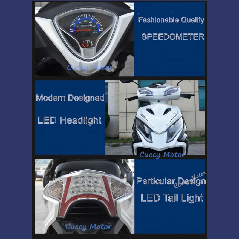 wendy details_logo.png