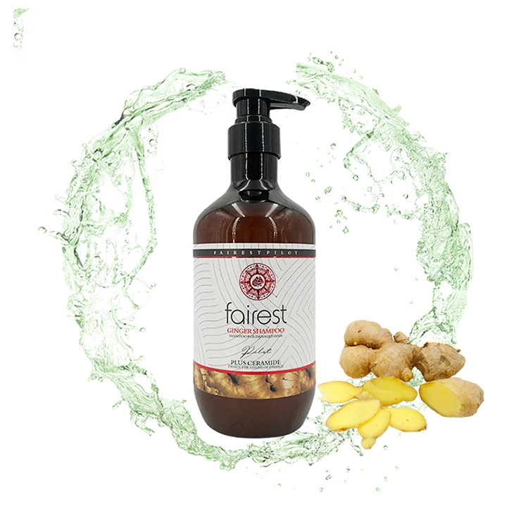 Hotel Best Shampoo Product Ginger Bio Anti Dandruff good natural shampoo anti loo hair