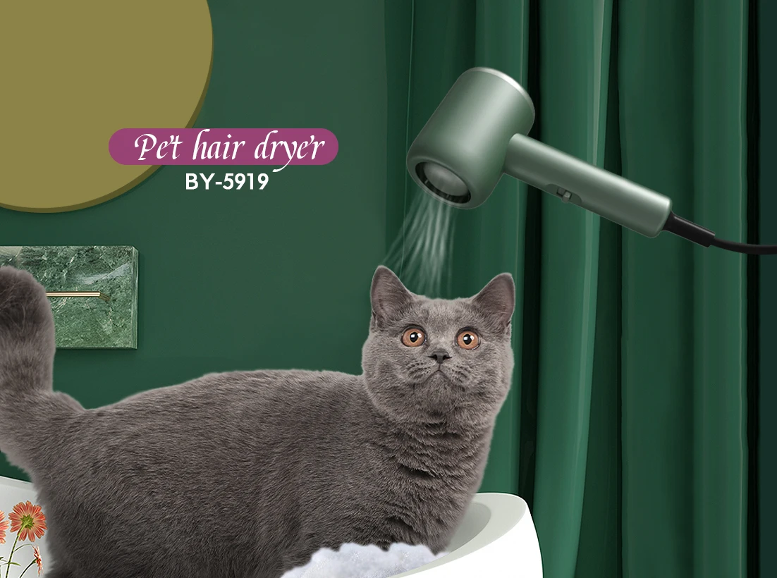 Professional Household Dc Motor Portable Blow Dryer  Hairdryers Electric Foldable Hair Dryer With Concentrator