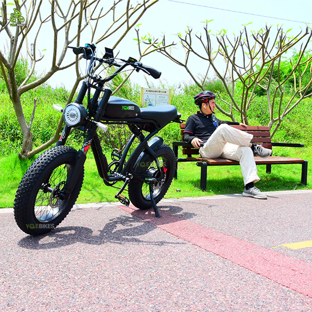 YQEBIKES Dropshipping Factory OEM Single/Dual Motor Ebike 2000W 50Ah Electric Mountain Super Cool Hybrid Bike Electric Bicycle