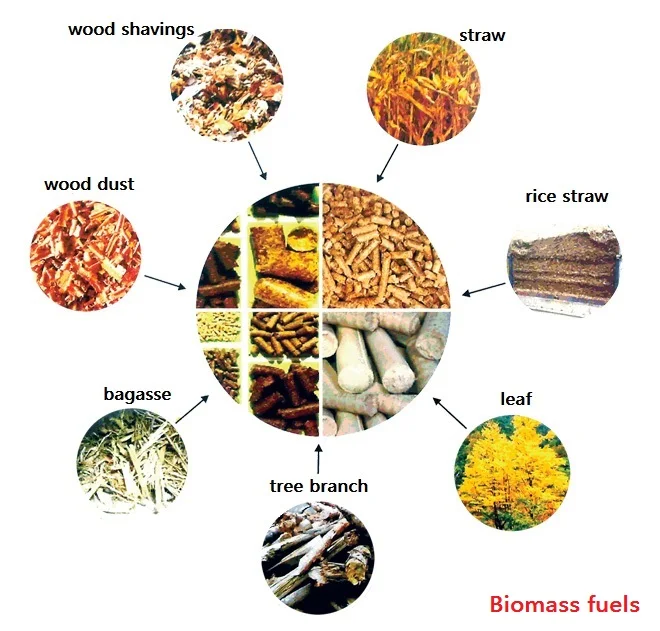 china good quality biomass cnc control boiler