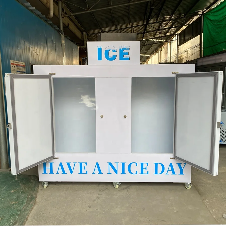 Double doors cold wall ice bags merchandising storage freezer box