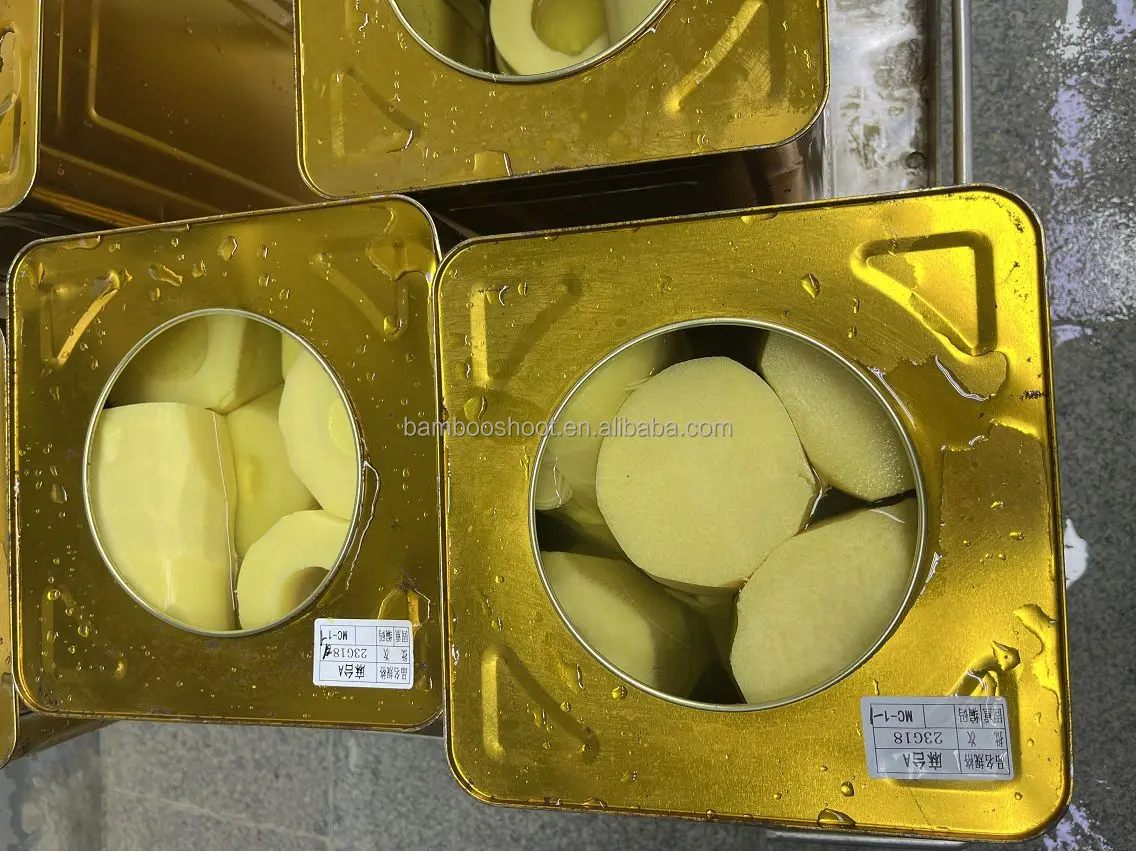 New Season Fresh Organic Bamboo Shoots IQF Boiled in Water Preserved Vegetables 18L Cans
