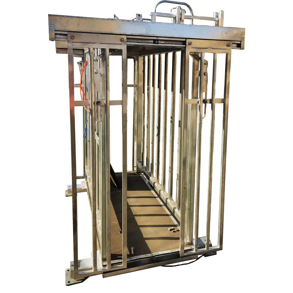 livestock farm equipment full automatic sheep/goat weighing group divider