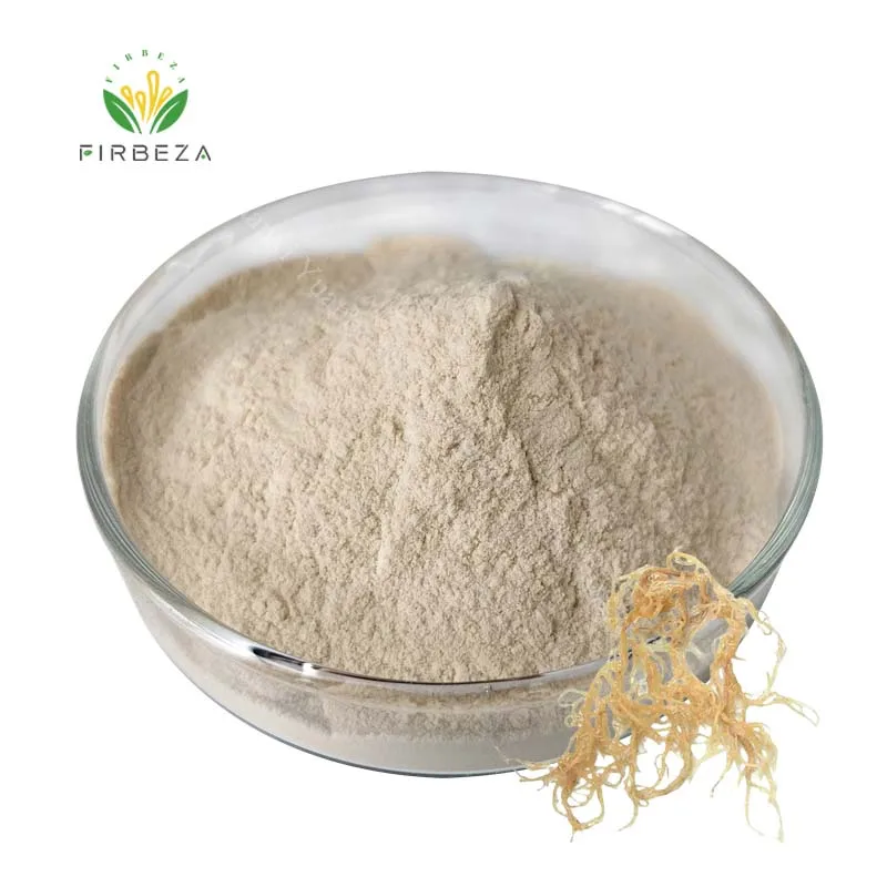 High Quality 100% Organic Carrageen Chondrus Crispus Extract Sea Moss Powder