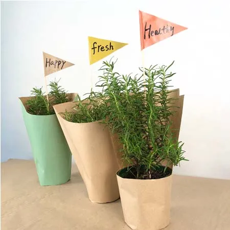 Крафт-бумага свежих растений зеленый овощами мешки бумажные травы рукава Травы Горшки Обложка