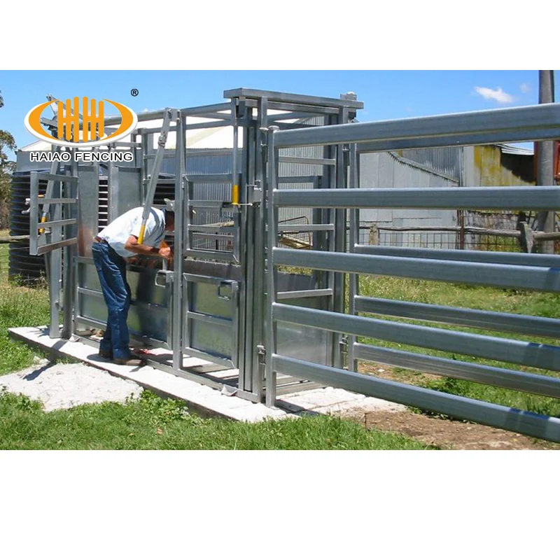 Factory supply galvanized portable sheep goat livestock farm cattle crush design