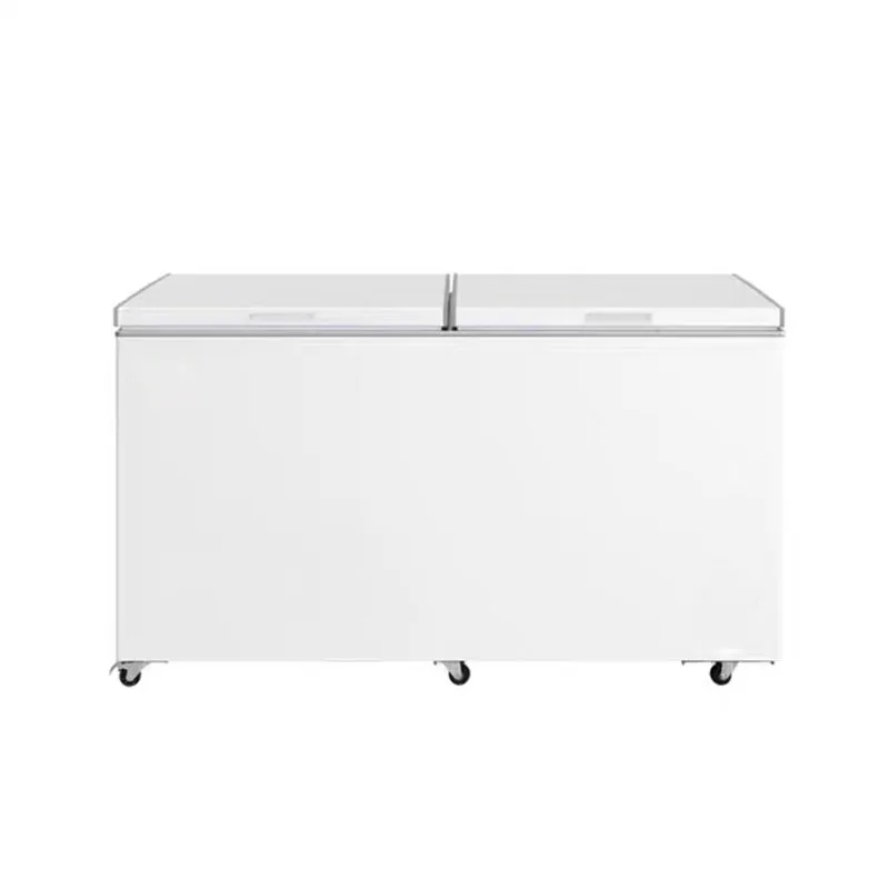 Refrigerator double temperature household commercial large capacity freezer cold storage fresh-keeping