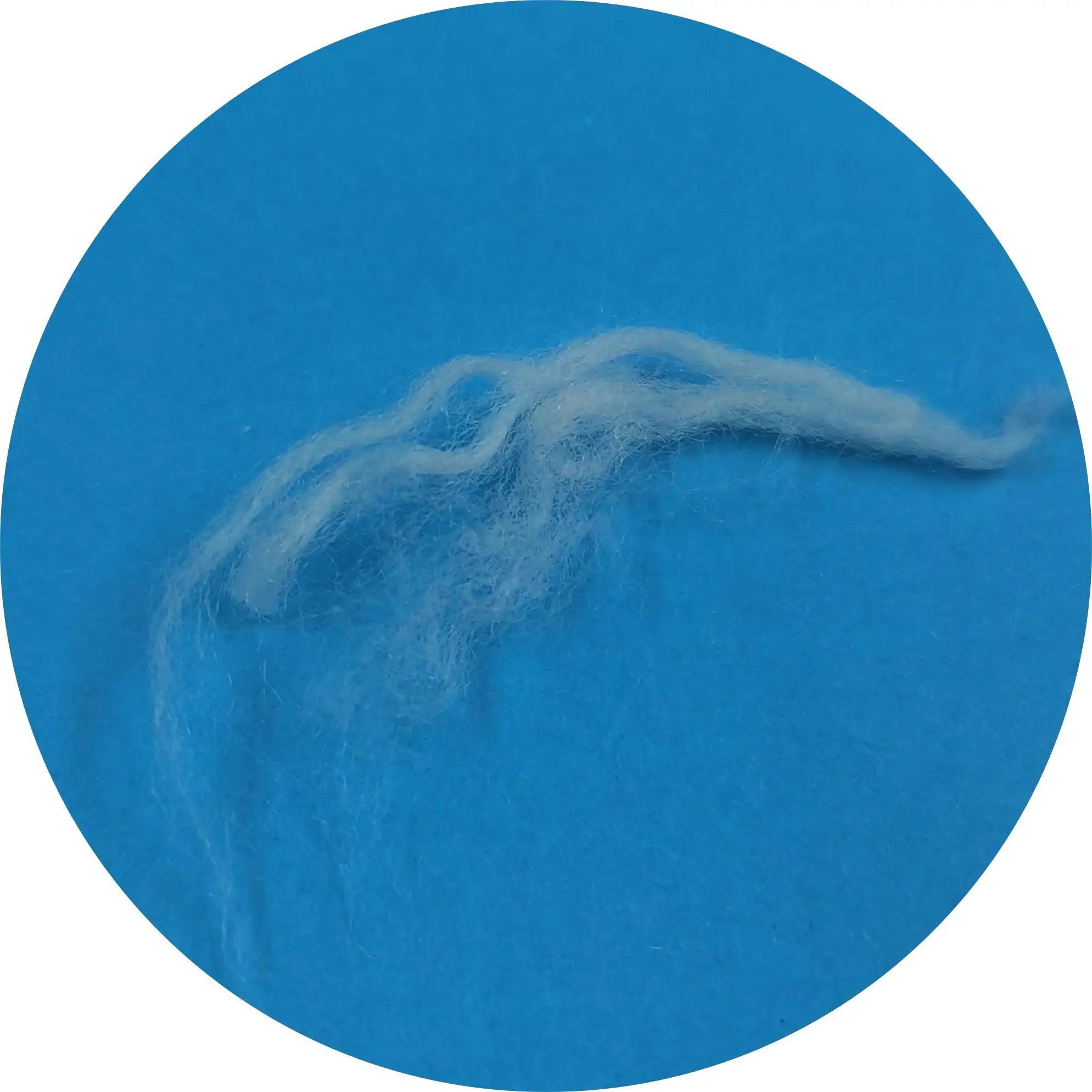 PCM Phase Change PE/PP Based Bico Staple Fiber for Spinning