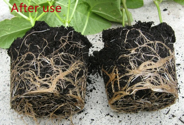 ABT Plant grown regulator 4-indol-3-ylbutyric acid and 1-naphthyl acetic acid 5%