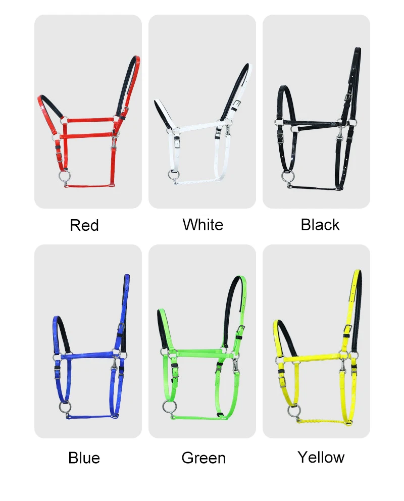 Waterproof adjustable outdoor equestrian horse products multicolor TPU material horse riding halters wholesale