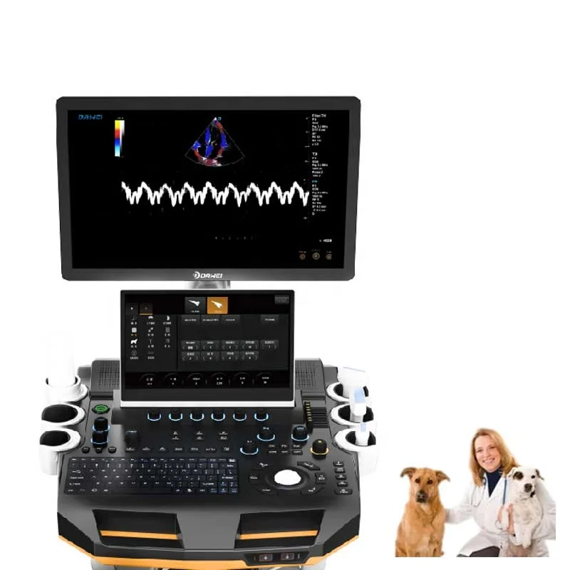 Dawei High-end Tissue Doppler 3D 4D Imaging THI TDI Veterinary Color Doppler Ultrasound Scanner