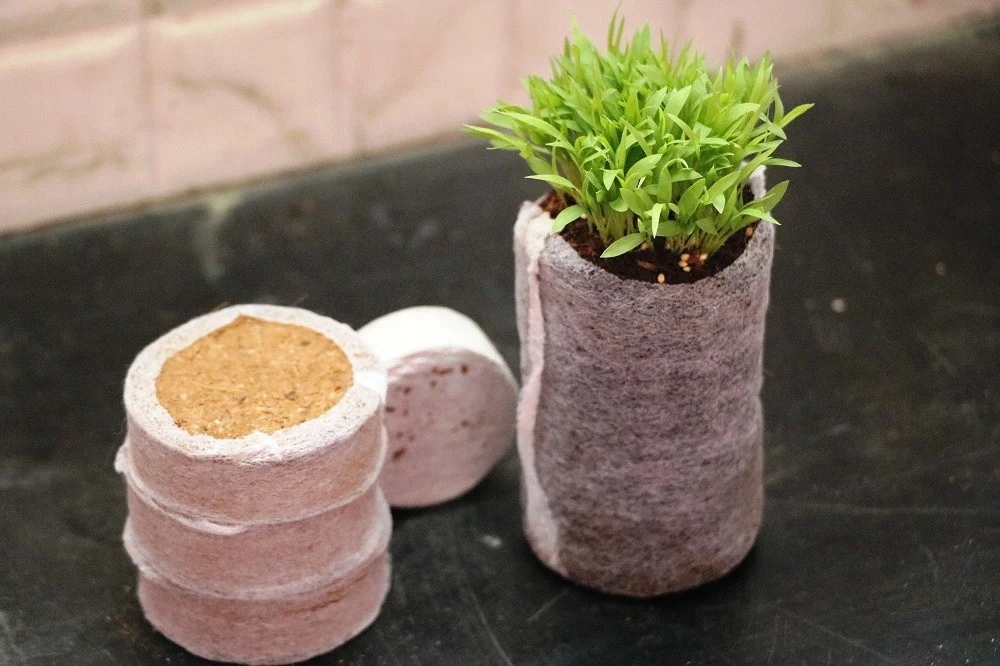  COIR