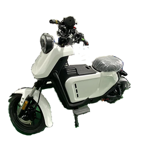 Stylish 800W Hydrogen Fuel Cell Scooter Hydrogen Powered E-bike with Long Battery Life High Performance
