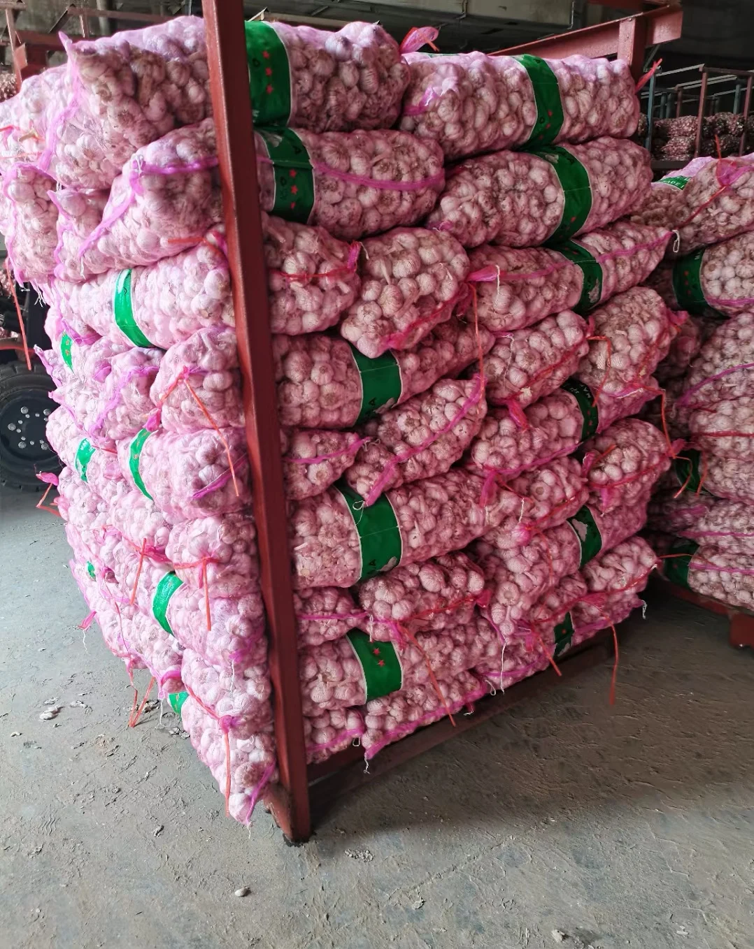 Organically grown fresh garlic Premium seasoned garlic for export to China