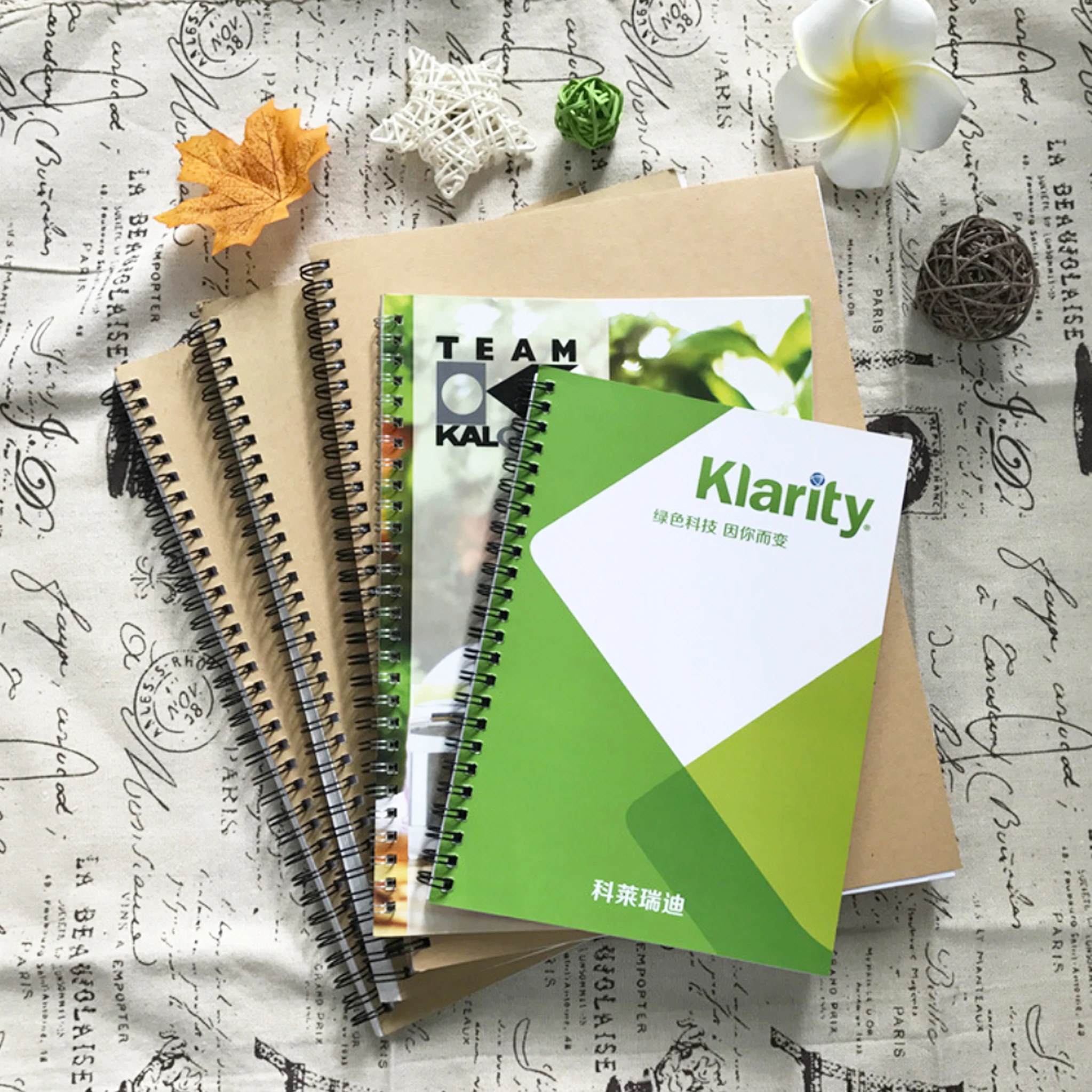 
Low Prince Custom Dl Flyer Printing A5 Postcard/booklet/flyer Printing 