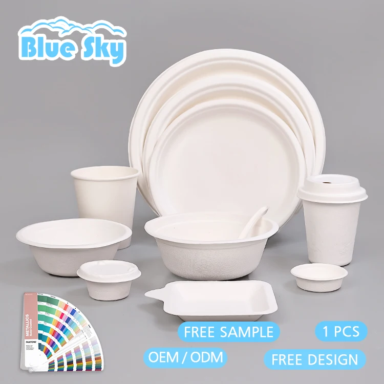Disposable  dinner plate eco-friendly elegant disposable plates kitchen plates