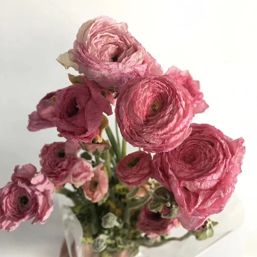 2020 new product dry peony flower from Kunming China