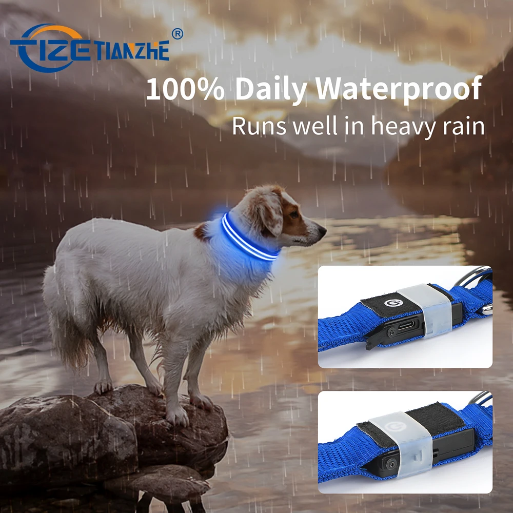 Fashion Glow In The Dark Dog Safety Pet Devices at Night LED Flashing Dog Necklace Two-Line Optical Fiber Dog Collars Light