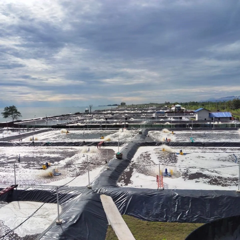 black plastic virgin material fish farming aquaculture  pond 0.3mm 2.5mm geomembrane price