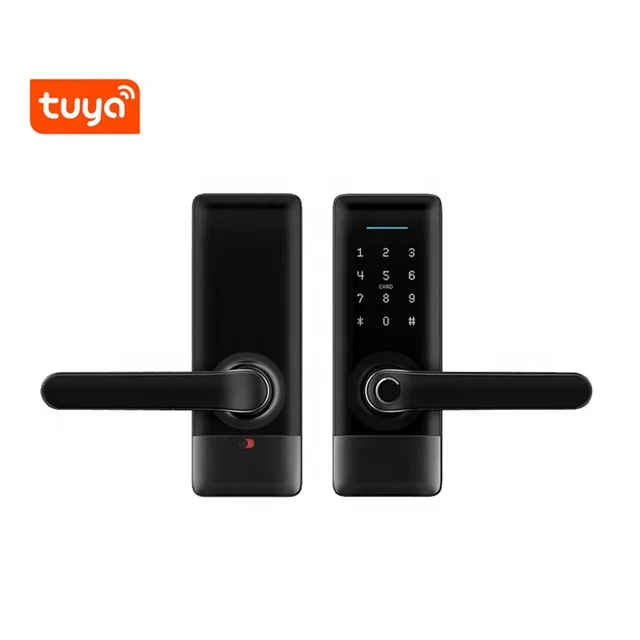 Philippine Electronic Fingerprint Digital Remote Control Door Lock