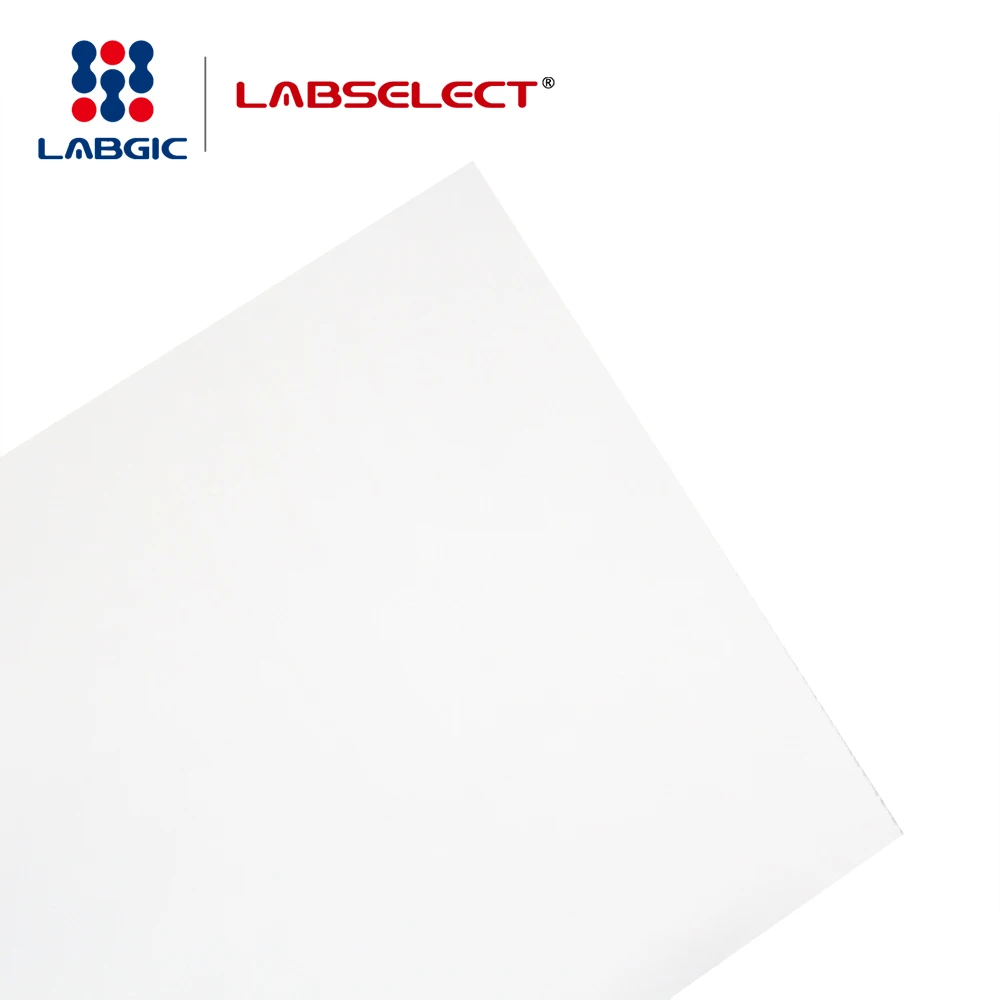 Hot sale Nylon Transfer Membrane, positively charged, 0.45um for Lab use